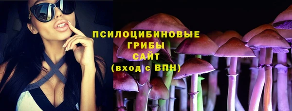 молекула духа Михайловка