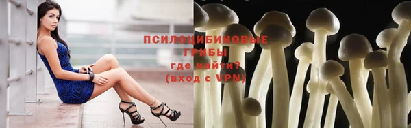 молекула духа Михайловка