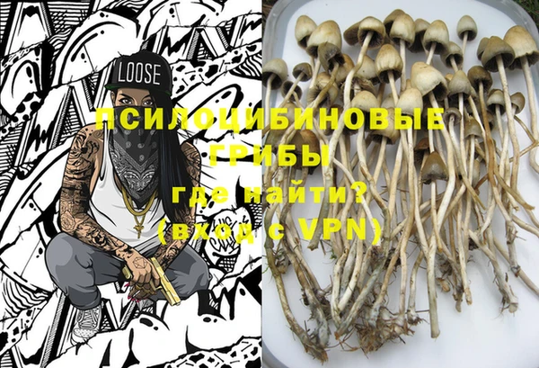 дмт Михайлов