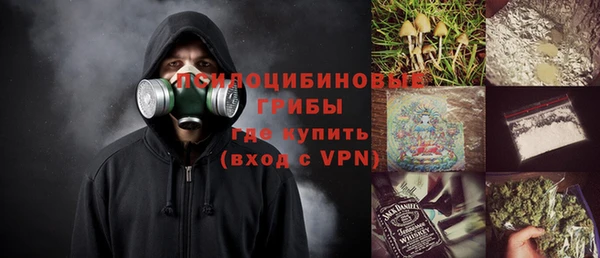 молекула духа Михайловка