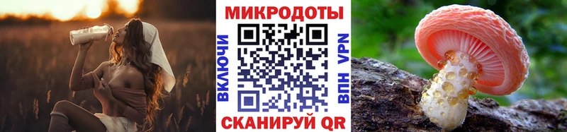 Псилоцибиновые грибы ЛСД где найти наркотики Зеленогорск