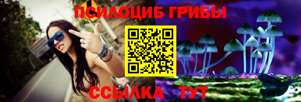 Галлюциногенные грибы GOLDEN TEACHER  Галлюциногенные грибы Psilocybe  где найти наркотики  Зеленогорск  Вход с VPN 